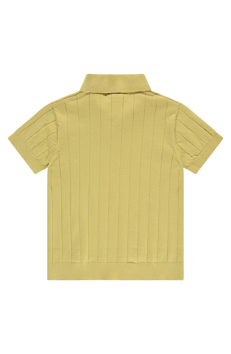Stains and Stories by Babyface Ribbed Short Sleeve Polo, Alternate, color, Lemon