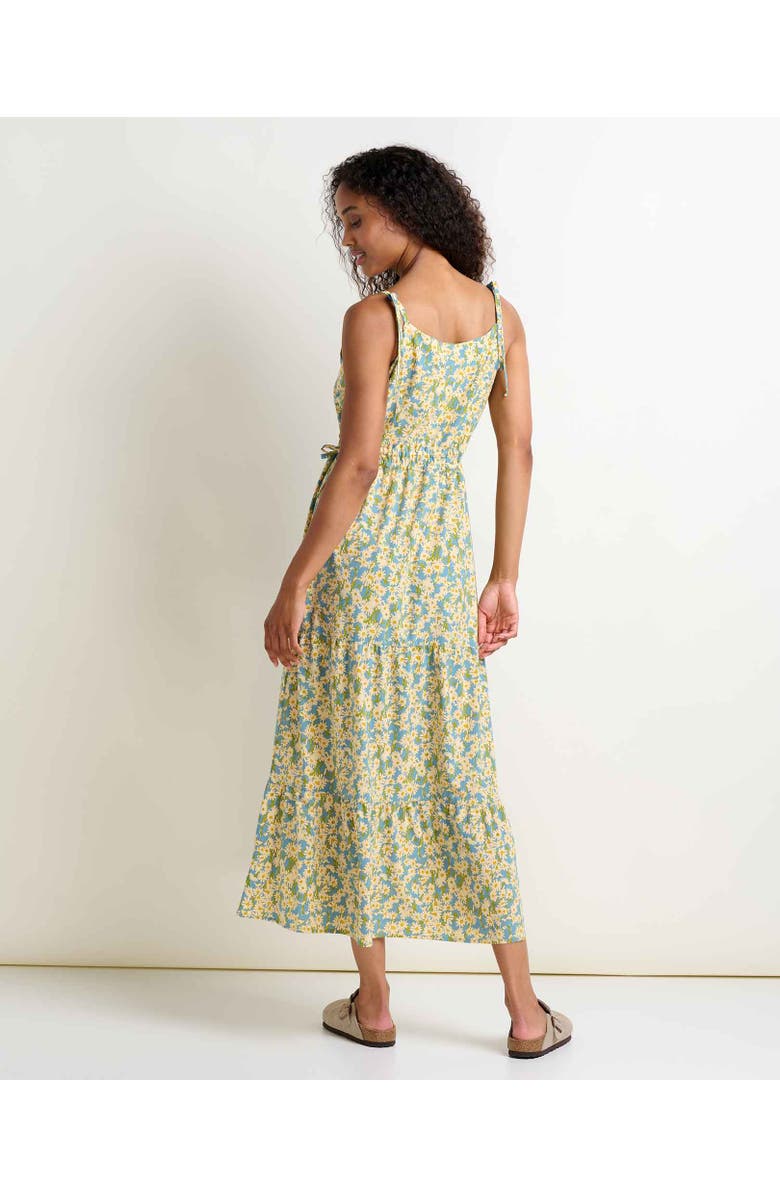 Toad & Co Sunkissed Tiered Sleeveless Dress, Alternate, color, 