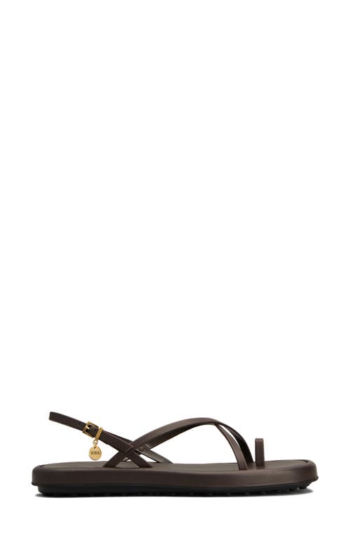 Shop Tod's Charm Toe Loop Sandal In Palissandro