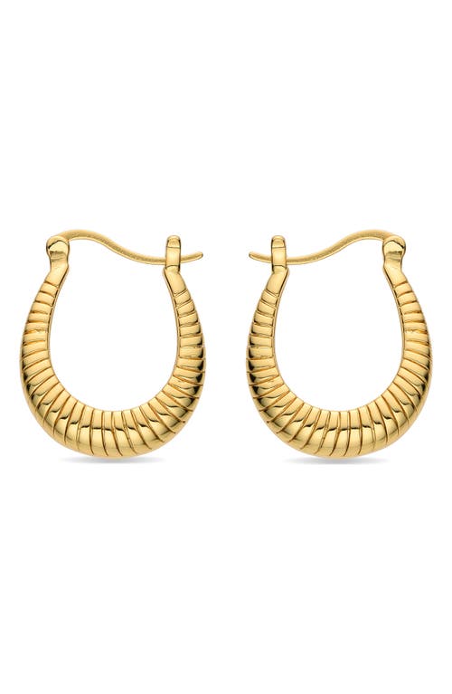 Eye Candy Los Angeles Lily Hoop Drop Earrings