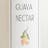  Guava Nectar