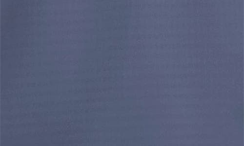 Nike Dri-fit Half Zip Golf Top In Blue