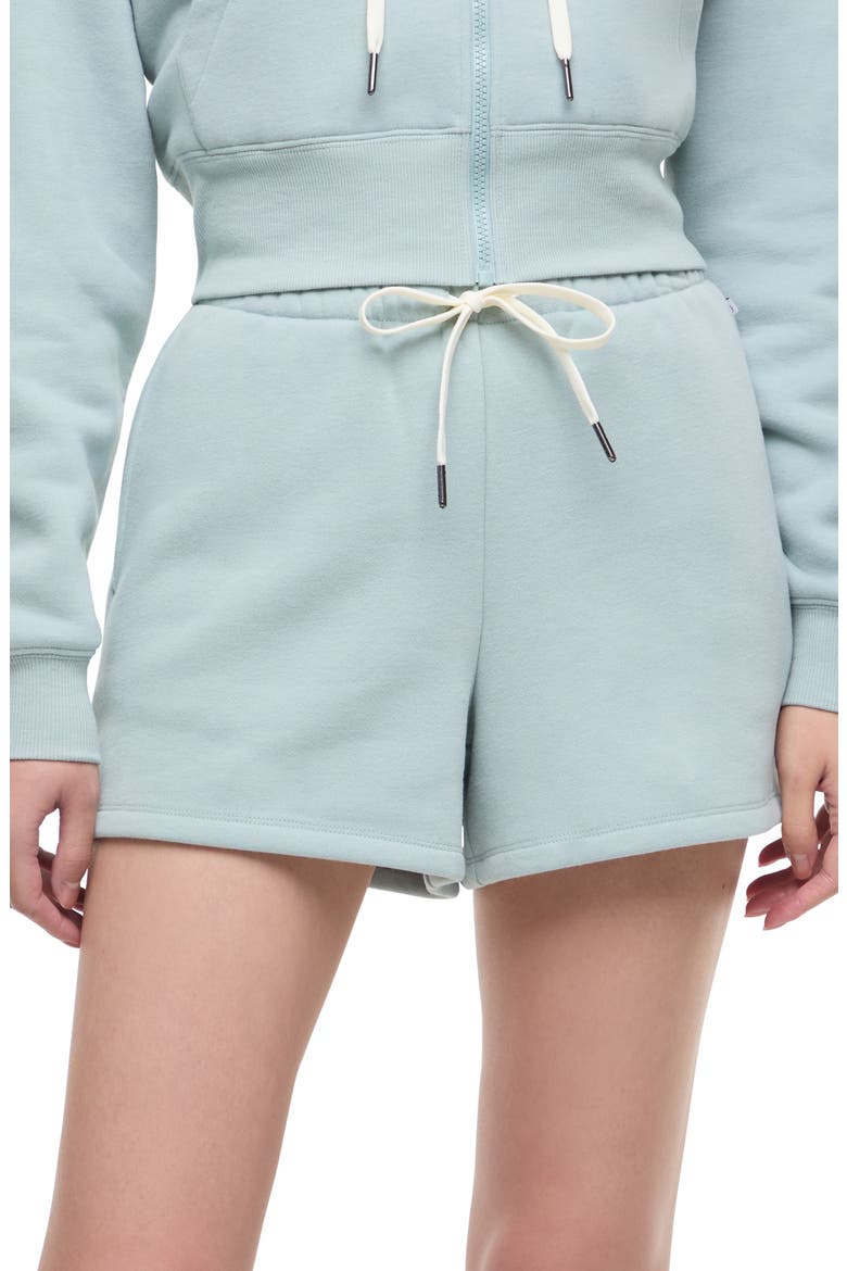 Dottie Hoodie & Short Set, Alternate, color, GRAY MIST
