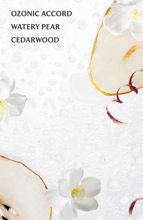 Touchland Power Mist Hydrating Hand Sanitizer In Transparent