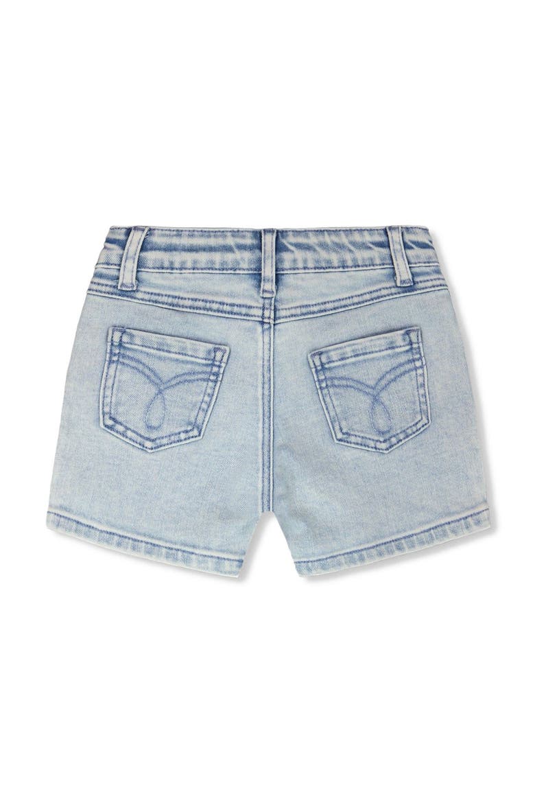 Embroidered Daisies Denim Shorts, Alternate, color, Light Blue Denim