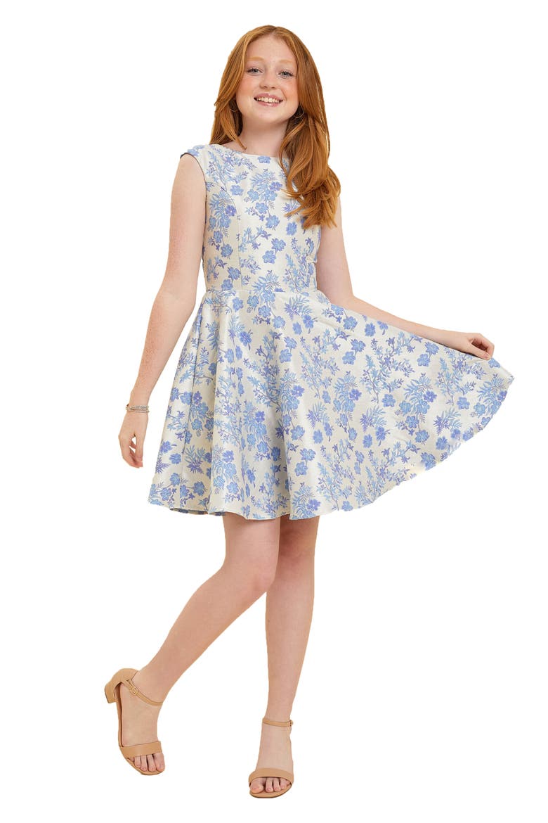 Fit and Flare Party Dress in Longer Length, Main, color, BLUE PRINT