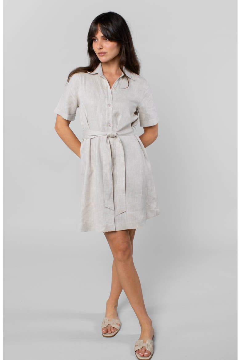 Montage Dress, Alternate, color, Oatmeal