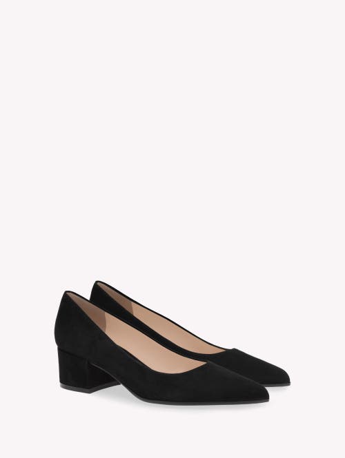 Gianvito Rossi Black Suede Pumps In Black