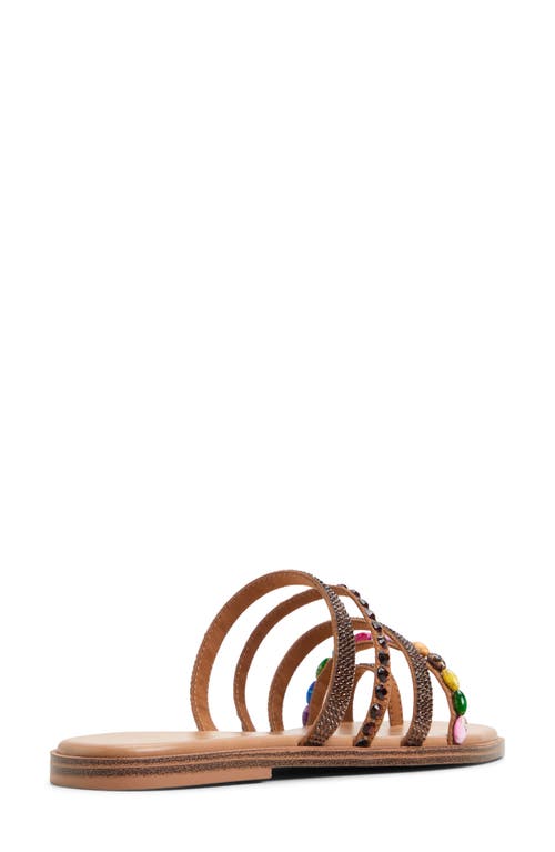Shop Aldo Lindya Toe Ring Slide Sandal In Brown Multi