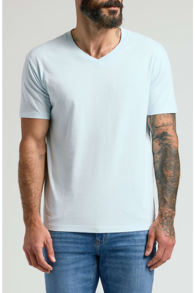 Short Sleeve V-Neck T-Shirt, Main, color, ICICLE