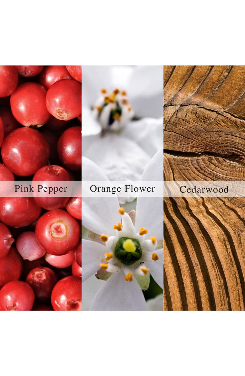 AllSaints Sunset Riot Eau de Parfum Set, Alternate, color,