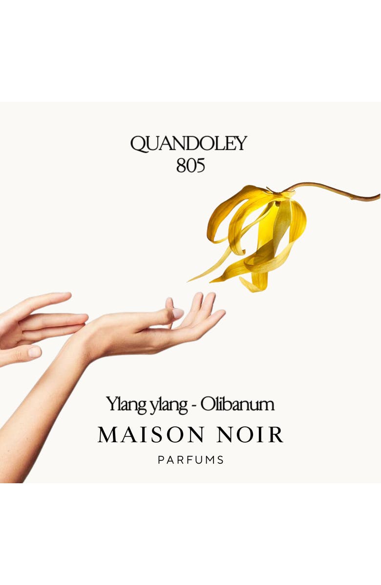 MAISON NOIR Quandoley 805, Alternate, color, NO COLOR