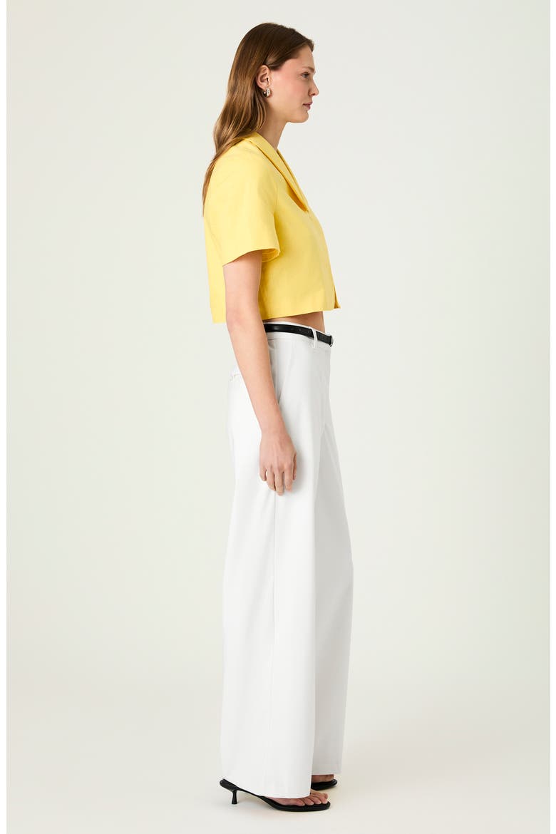 Theo Oversize Peter Pan Collar Crop Top, Alternate, color, BRIGHT DAISY