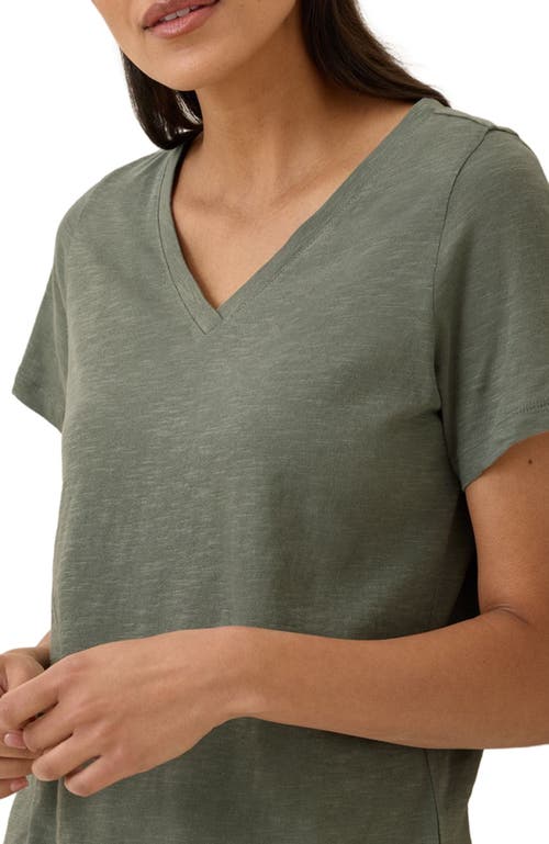 Pact Organic Cotton Featherweight Slub V-neck Tee In Green