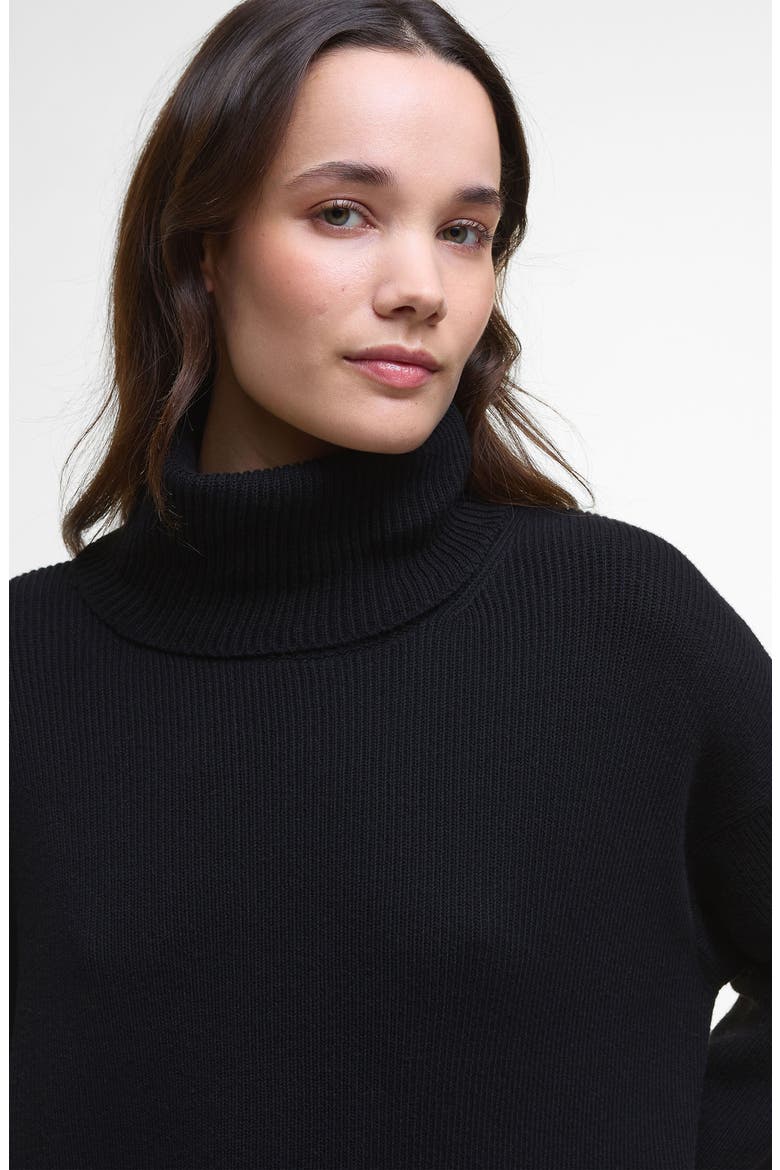 Rib Knit Sweater Dress, Alternate, color, BLACK