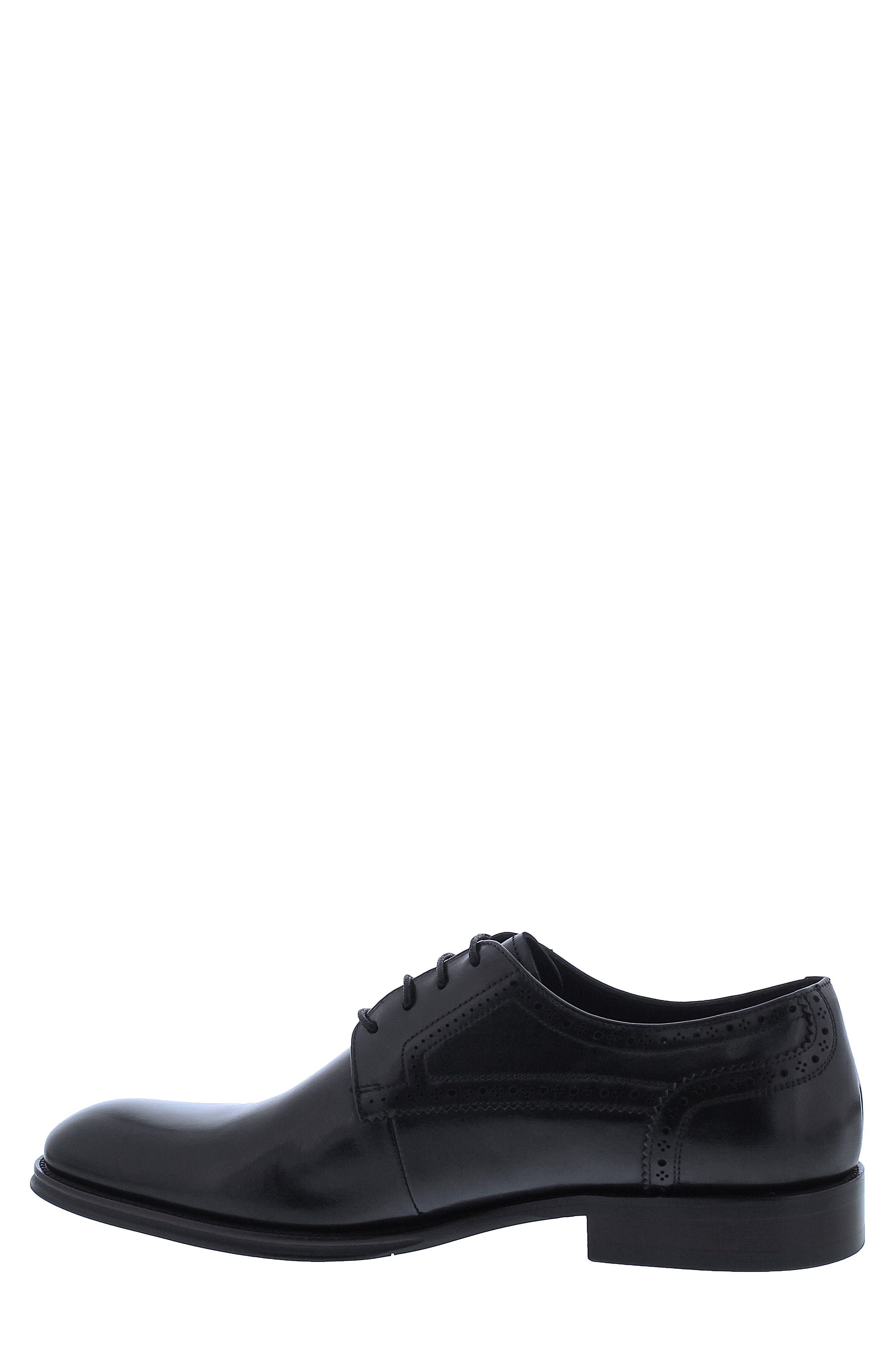 Penny Lane Regent Derby, Alternate, color, 