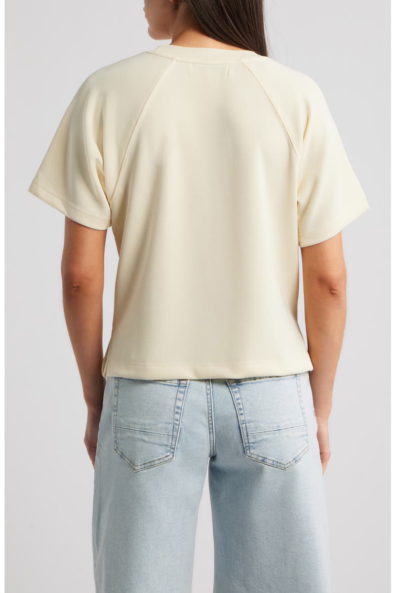 Raglan Sleeve T-Shirt, Alternate, color, PEARL