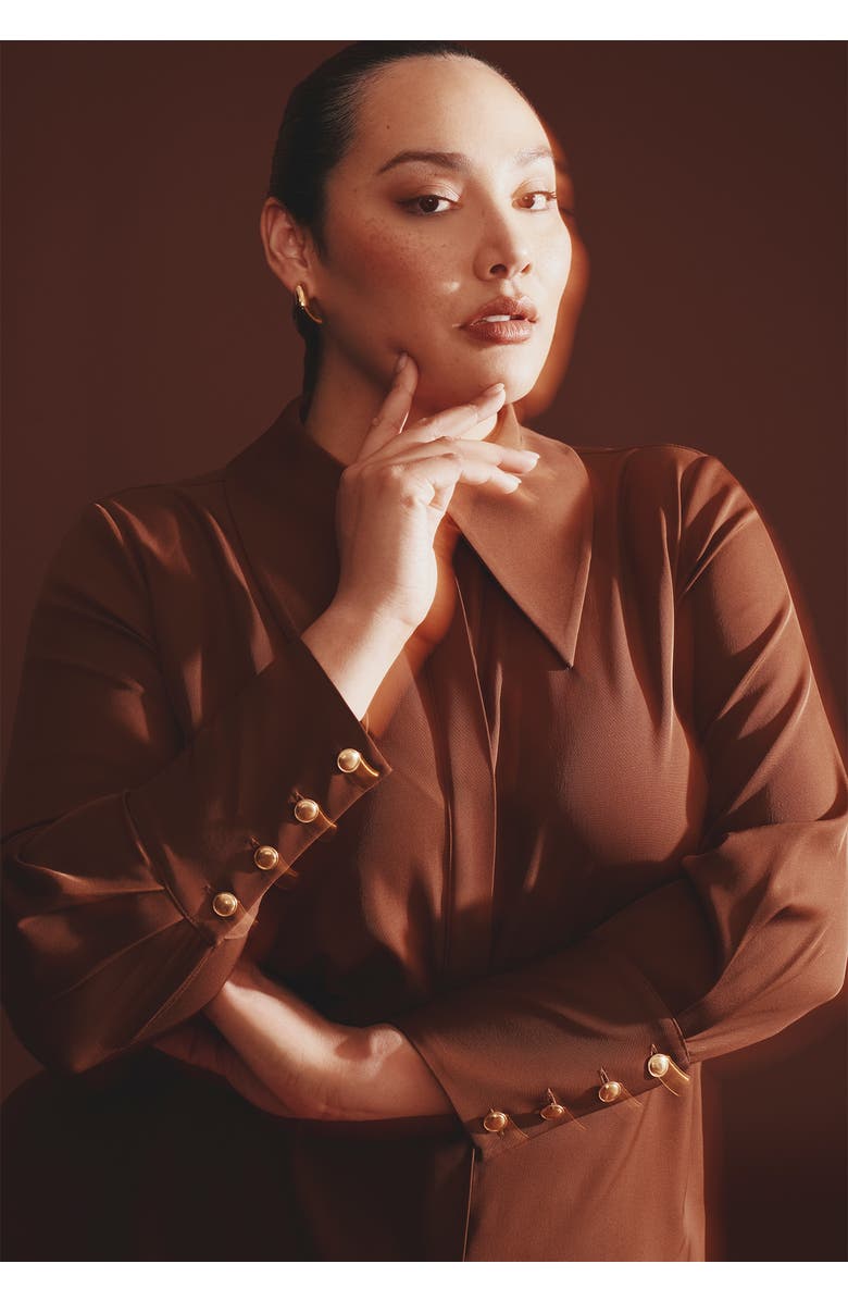 ELOQUII Pointed Collar Button Up Shirt, Alternate, color, Carafe