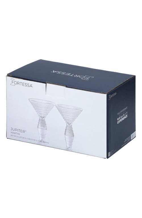 Fortessa Jupiter Set Of 2 Martini Glasses In Clear