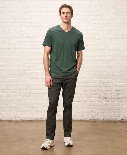 Pact Organic Cotton Softspun V-neck Tee In Green
