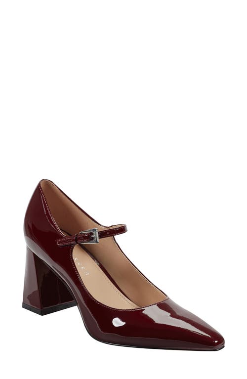 Marc Fisher Ltd Nollie Pointed Toe Pump
