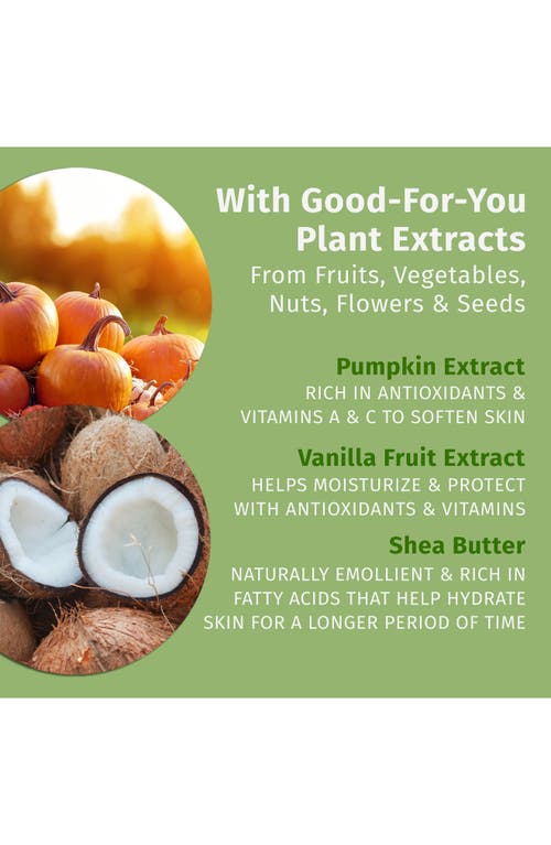 Hempz Pumpkin Spice & Vanilla Chai Lip Balm In Multi