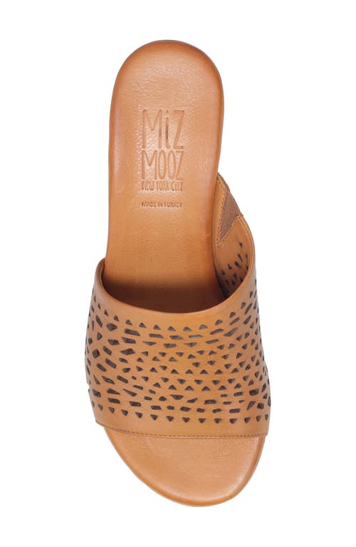 Miz Mooz Rylan Slide Sandal In Brandy
