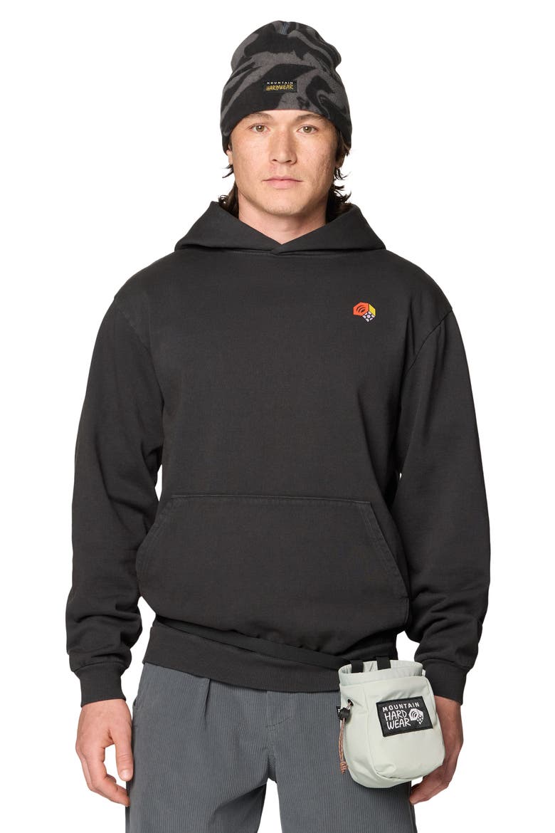 Tricolor Logo Graphic Hoodie, Alternate, color, STEALTH GREY