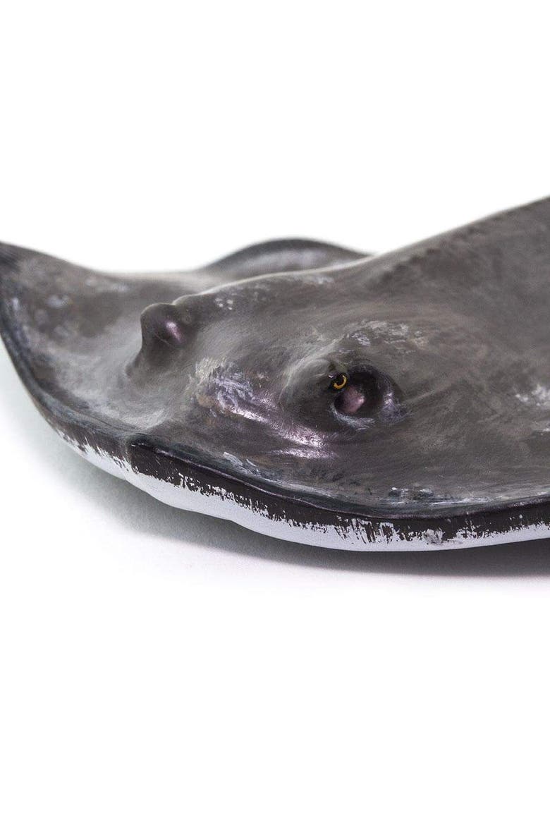 Sting Ray Toy, Alternate, color, No Color