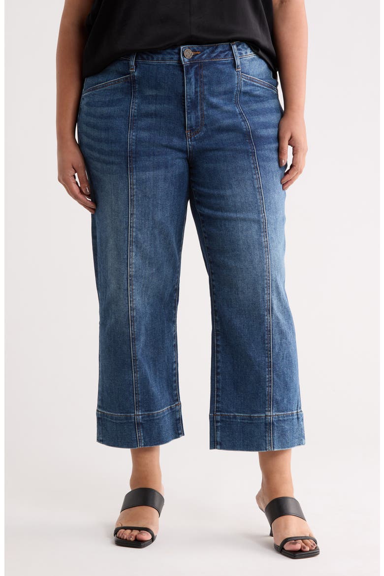 Lucy High Waist Cropped Jeans, Main, color, SUNROOTS