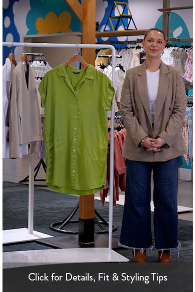 Short Sleeve Shirtdress video