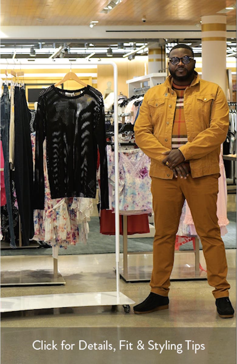 Sheer Stripe Crewneck T-Shirt, sales video thumbnail