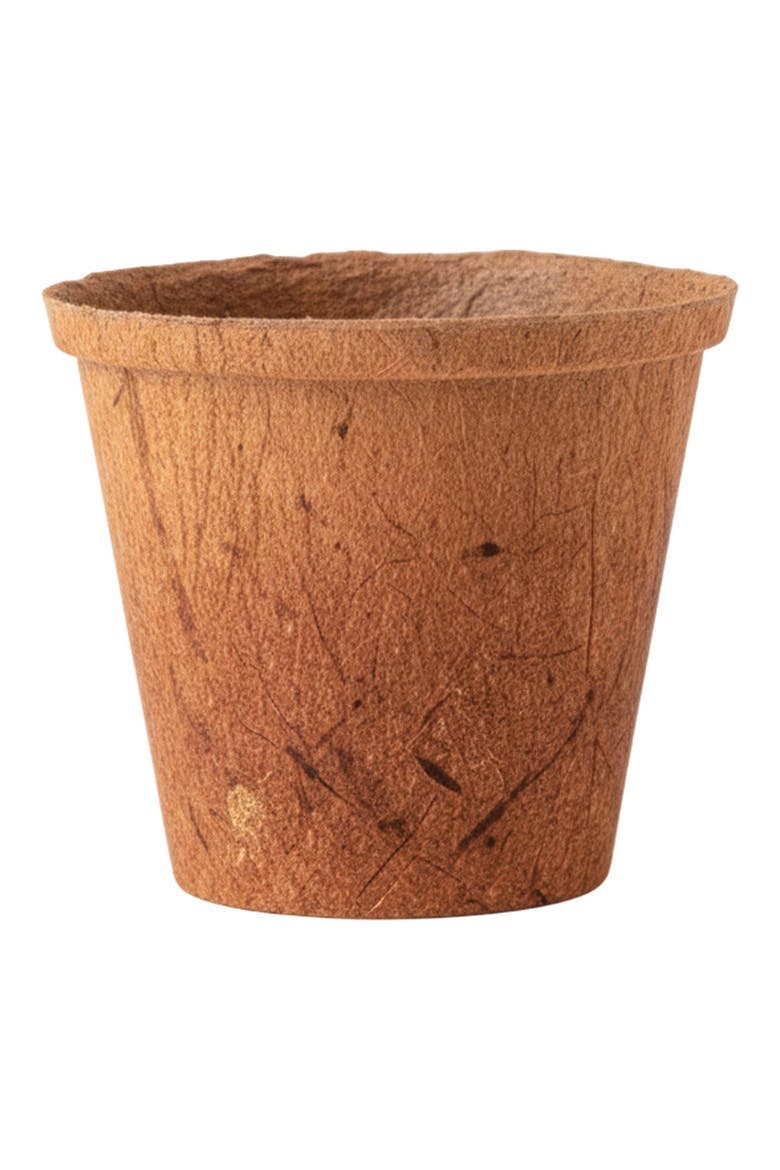 Growing Fruits Classroom Kit, Alternate, color, brown