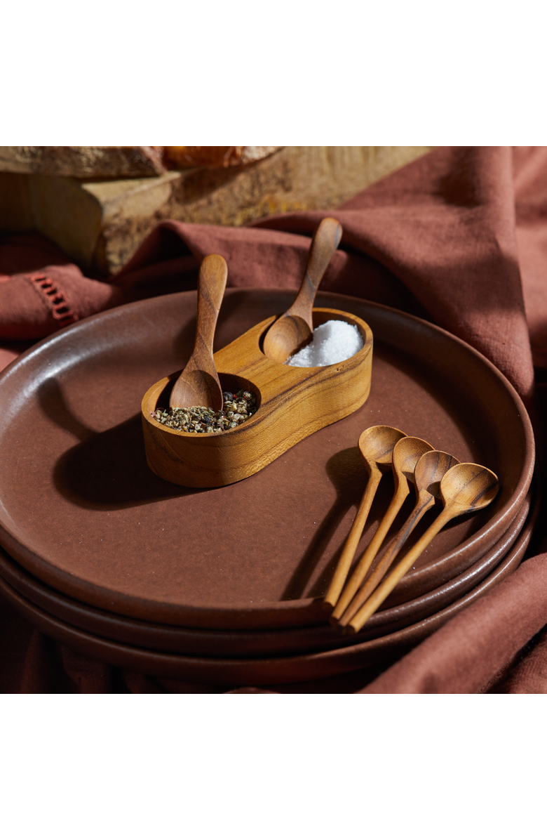 Be Home Salt & Pepper Cellar with Spoons, Alternate, color, Teak