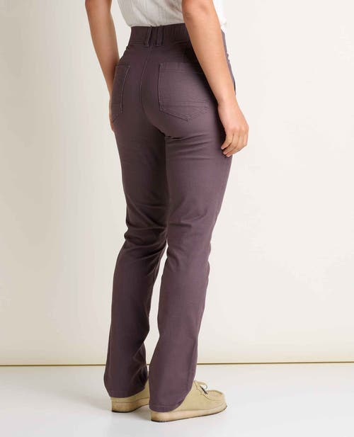 Toad And Co Earthworks Slim Pants In Purple