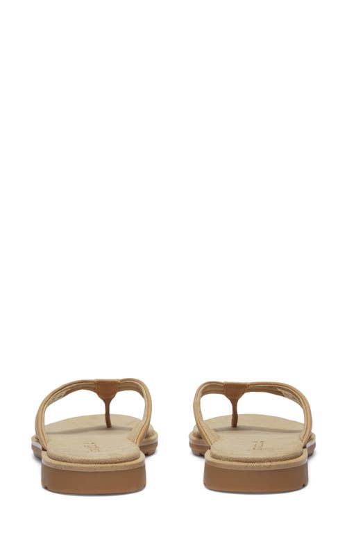 Timberland Calista Bay Flip Flop In Medium Beige Full Grain