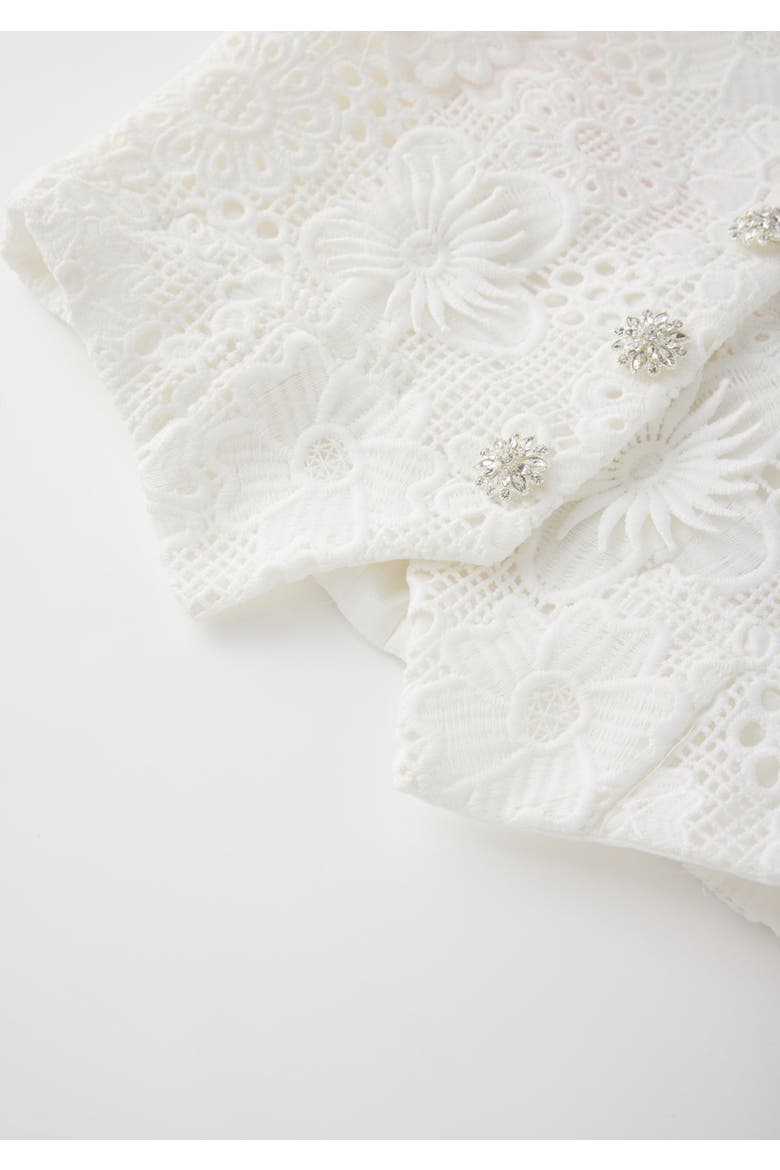 Lucinda Embroidered Vest, Alternate, color, Ivory