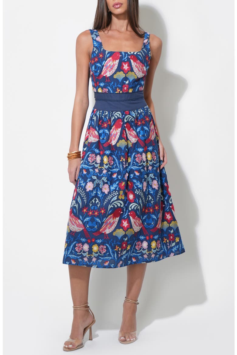 Kaili Embroidered Cotton Midi Dress, Alternate, color, BLUE MULTI