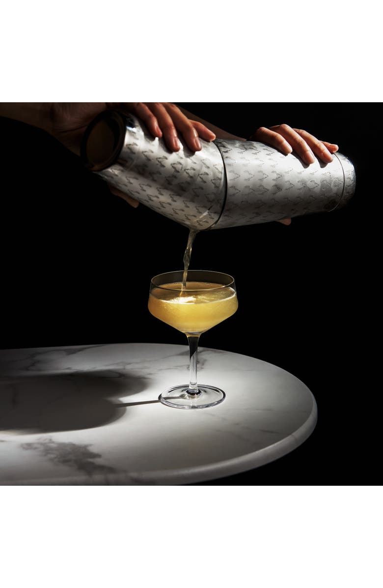 Viski Harrison 2-Piece Shake Tins in Stainless Steel, Alternate, color, Silver