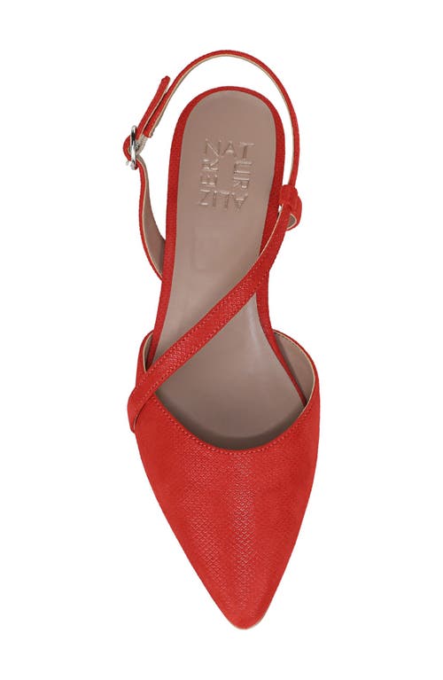 NATURALIZER NATURALIZER HAWAII POINTED TOE SLINGBACK FLAT 