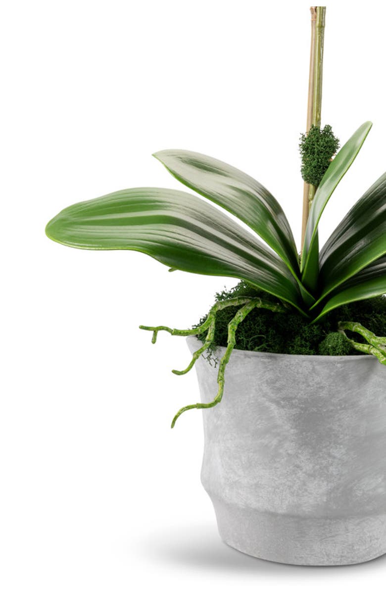 CocoBella Clementine RealTouch Orchid Arrangement, Alternate, color, Periwinkle