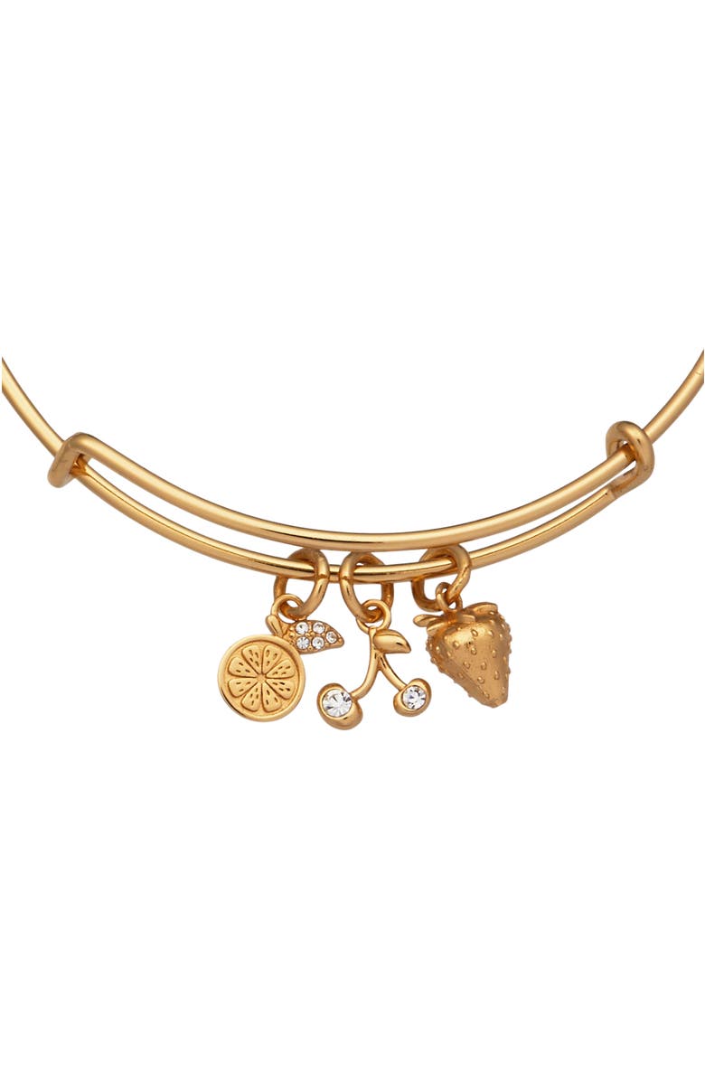 Alex and Ani Summer Fruits Charm Bangle, Alternate, color, Gold