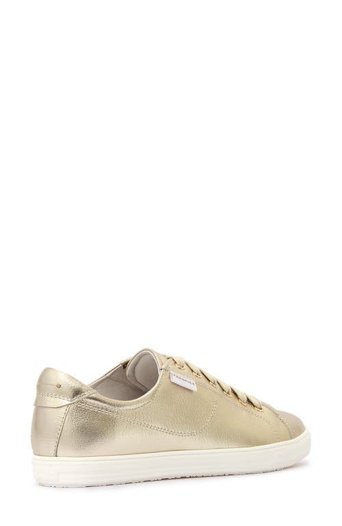 Frankie4 Nat Iii Cap Toe Sneaker In Gold Tumbled