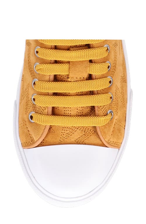 Dingo Campus Sneaker