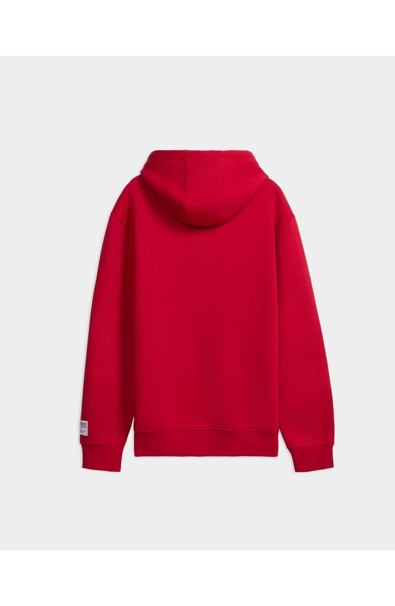 ECKO True Honor Hoodie, Alternate, color, True Red