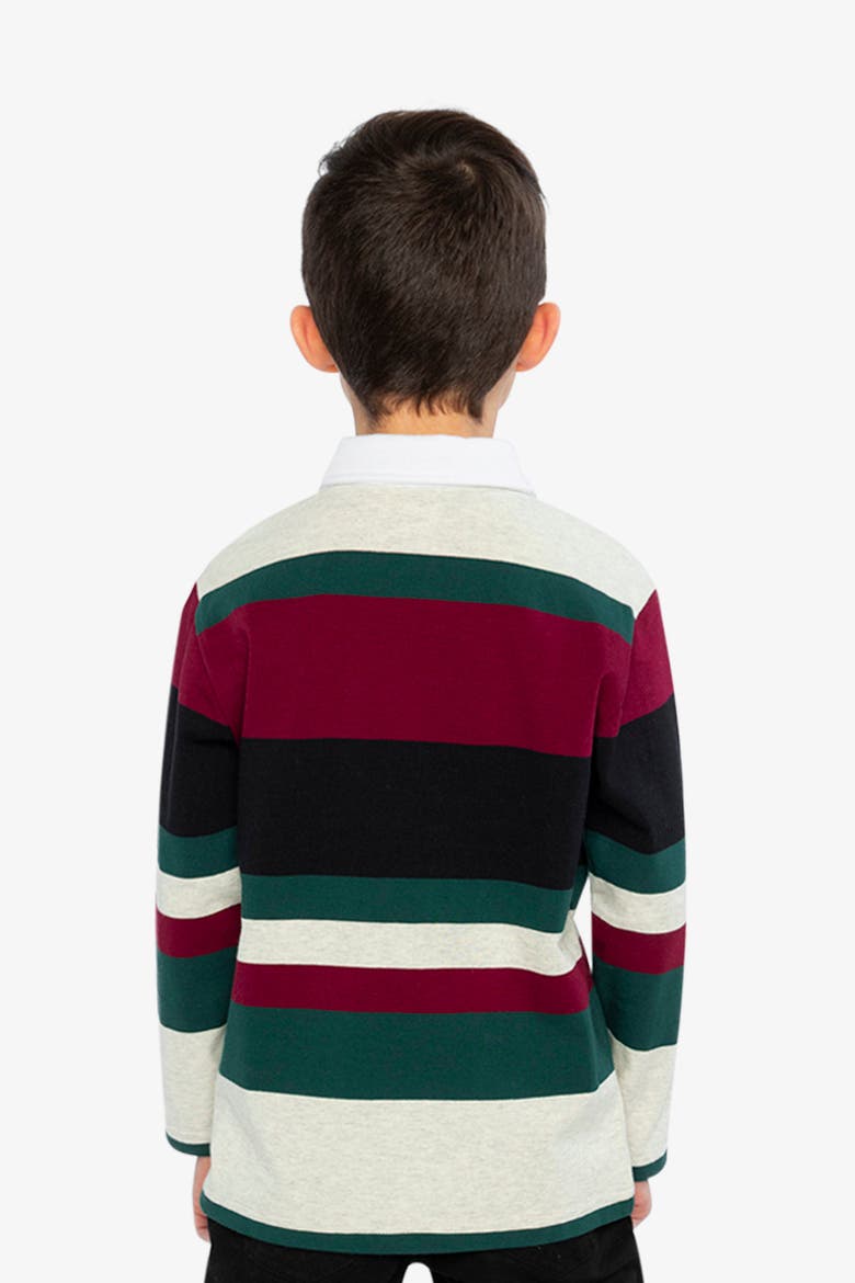 Striped Button Placket Long Sleeve Polo Top, Alternate, color, Blue Striped Red, Green & Grey