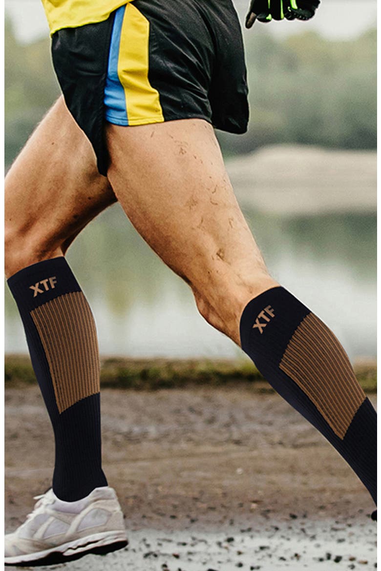 Pack of 6 Copper Infused Knee High Socks, Alternate, color, BROWN