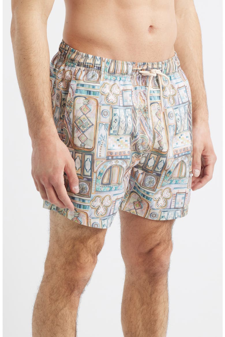 Printed Swim Trunks, Alternate, color, BEIGE MULTI