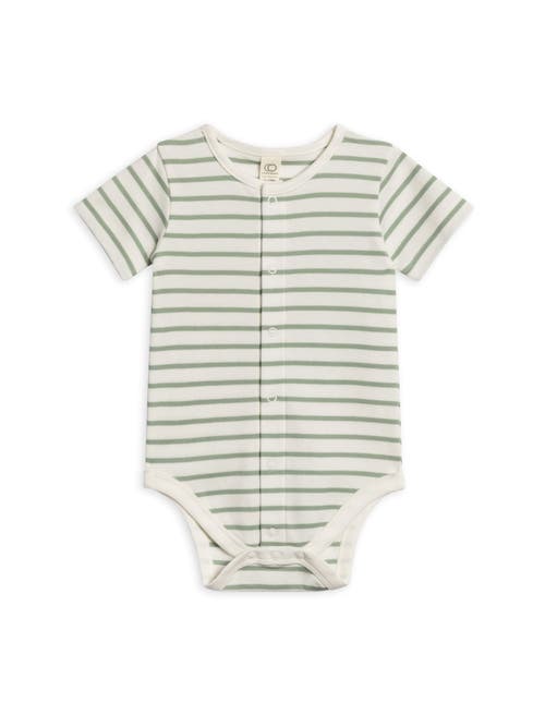 Colored Organics Organic Cotton Morgan Bodysuit In Neutral
