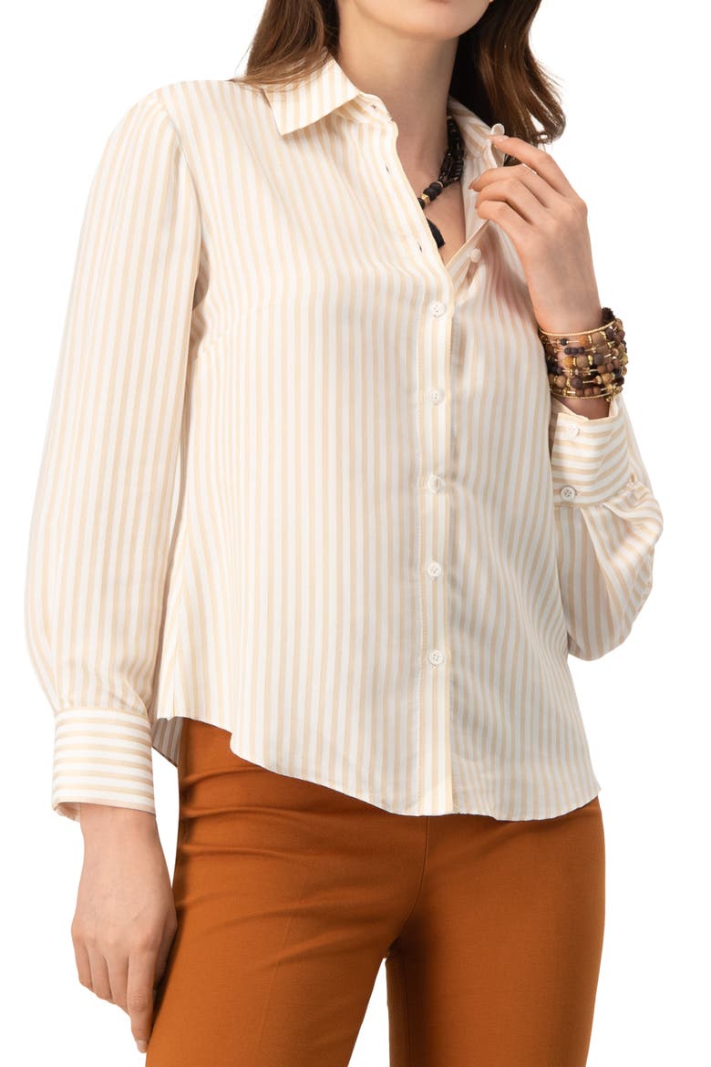 Classic Striped Shirt, Main, color, Beige